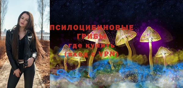 тгк Медвежьегорск