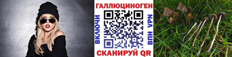 Псилоцибиновые грибы Magic Shrooms  где можно купить наркотик  Отрадная 